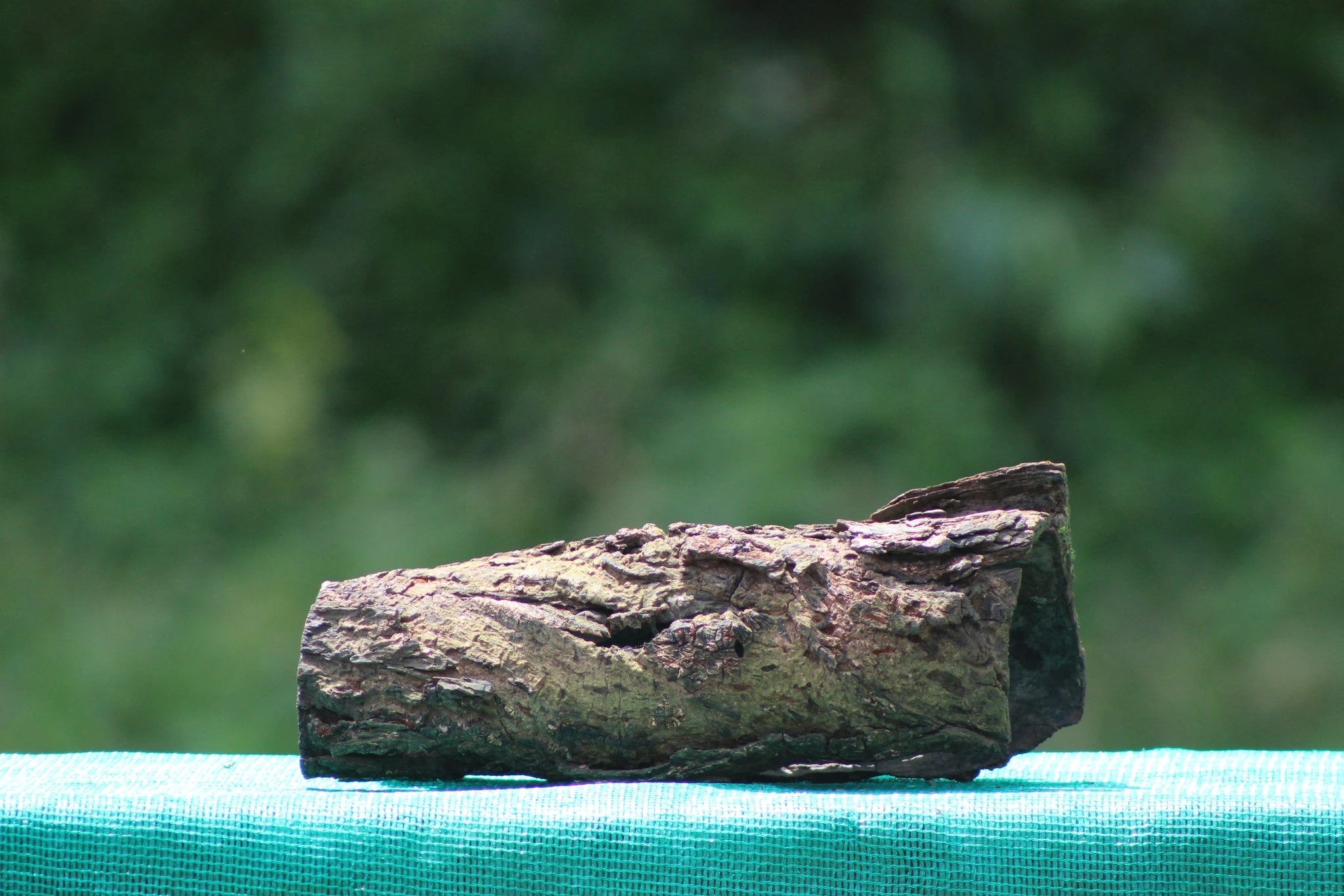 Natural 1 Square Foot Tree Bark for Aquascaping & Terrarium Design - UNIQUE DRIFTWOOD