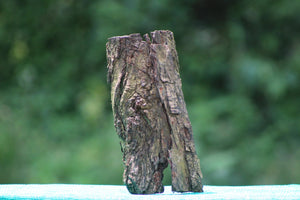 Natural 1 Square Foot Tree Bark for Aquascaping & Terrarium Design thumbnail 1