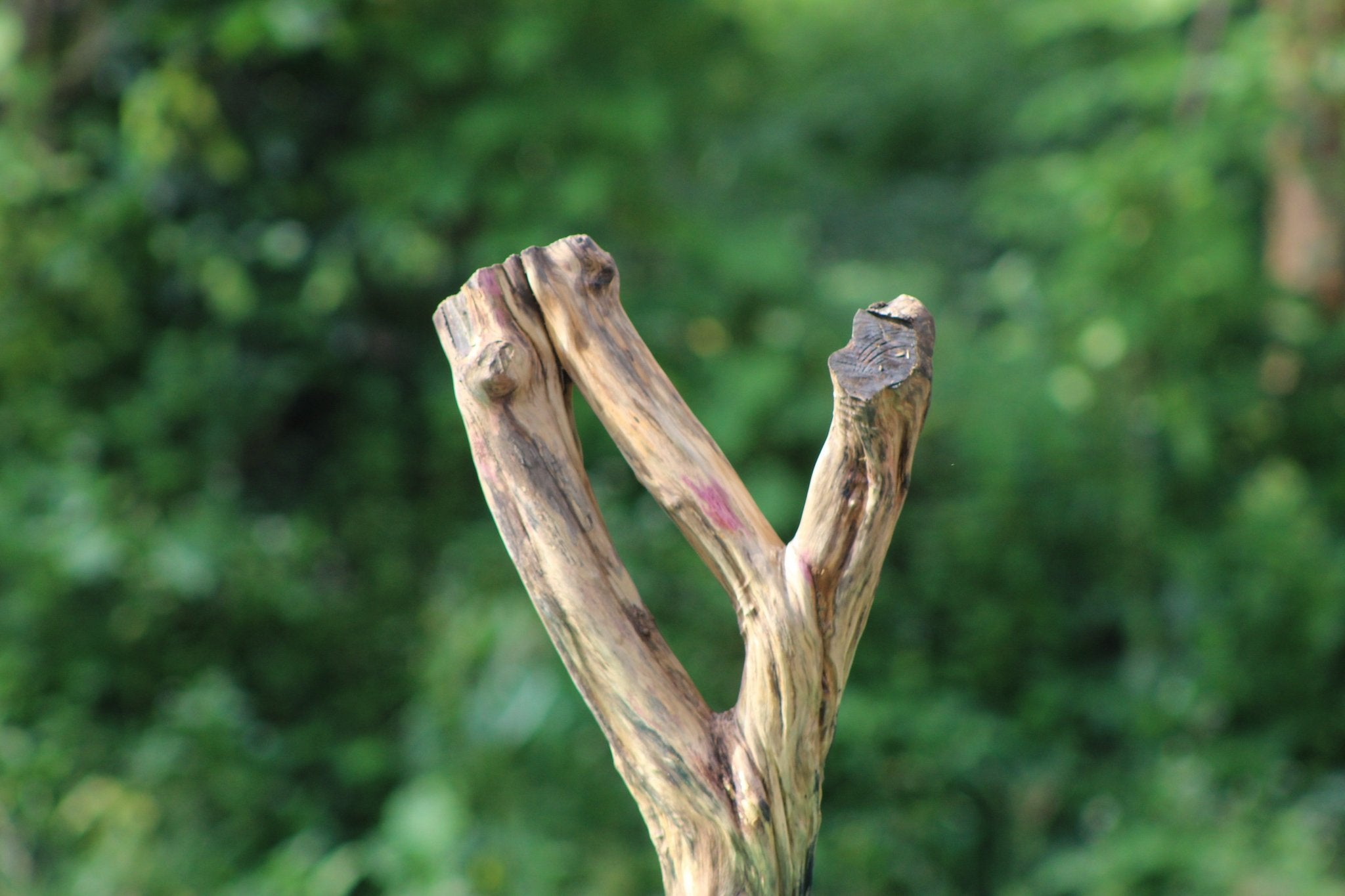 Natural Driftwood Decorative Piece - 18x15 inch | Unique Driftwood for Aquariums & Terrariums - UNIQUE DRIFTWOOD