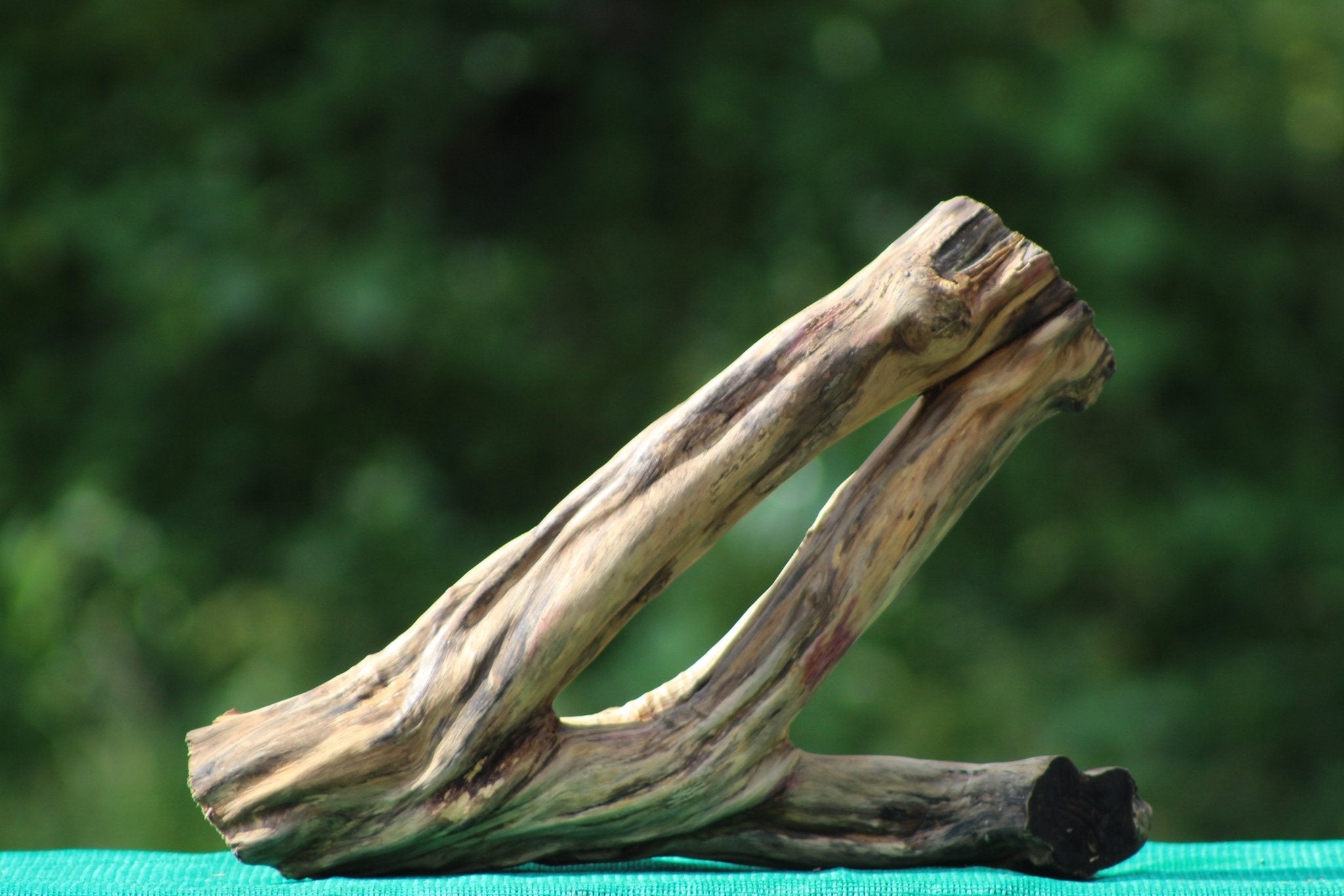 Natural Driftwood Decorative Piece - 18x15 inch | Unique Driftwood for Aquariums & Terrariums - UNIQUE DRIFTWOOD