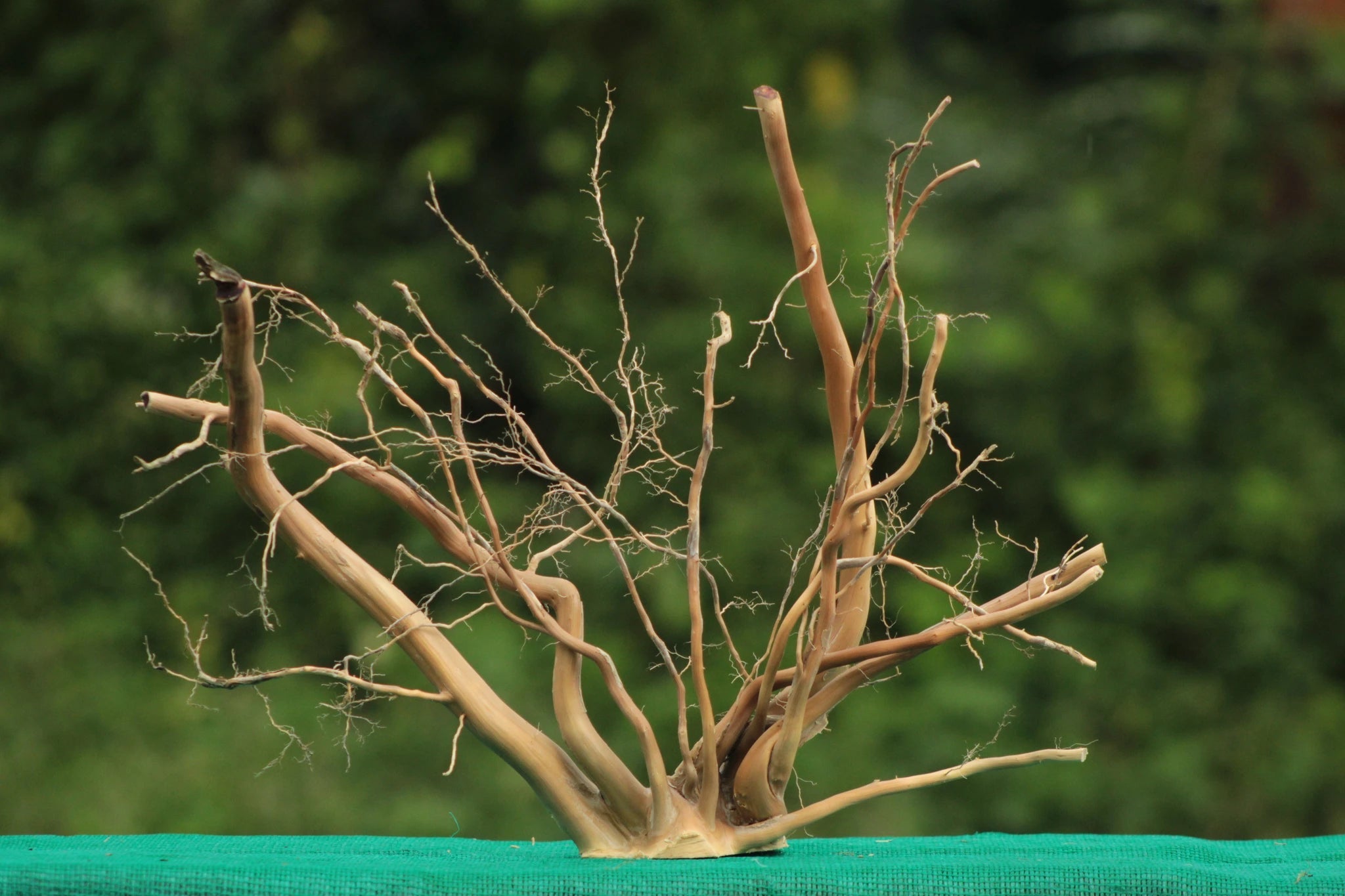 Natural Driftwood Sculpture – 24x18 Inches (Organic Branch Design) - UNIQUE DRIFTWOOD