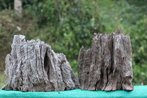 Premium 1 Square Foot Natural Driftwood for Aquariums & Home Décor thumbnail 1