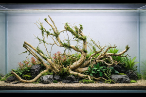 36x18 Inch Driftwood – Unique Hardscape for Planted Tanks thumbnail 1