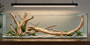 For 3 ft tank
