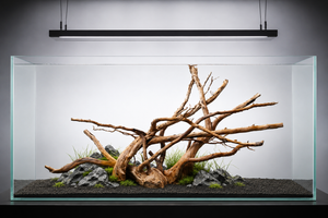 For 3ft tank