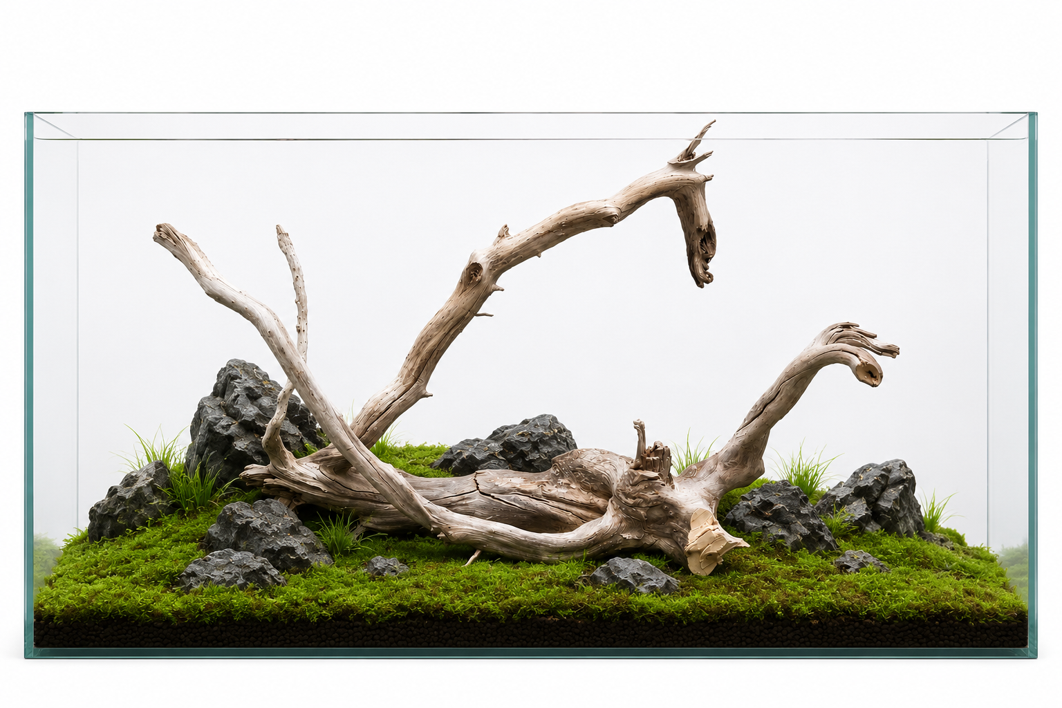 Suitable for 2 ft and 3 ft tank