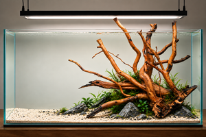 For 3ft tank