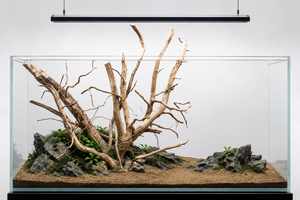 Suitable for 3 ft & 4 ft tank