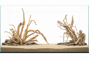 Parallel Wilderness — Dual Driftwood Layout (5 or 6 ft Aquascape Set)( 2 pieces ) thumbnail 1