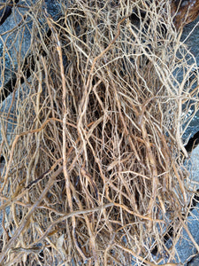 Detailing roots 2mm to 10mm mixed size (500)grms thumbnail 1