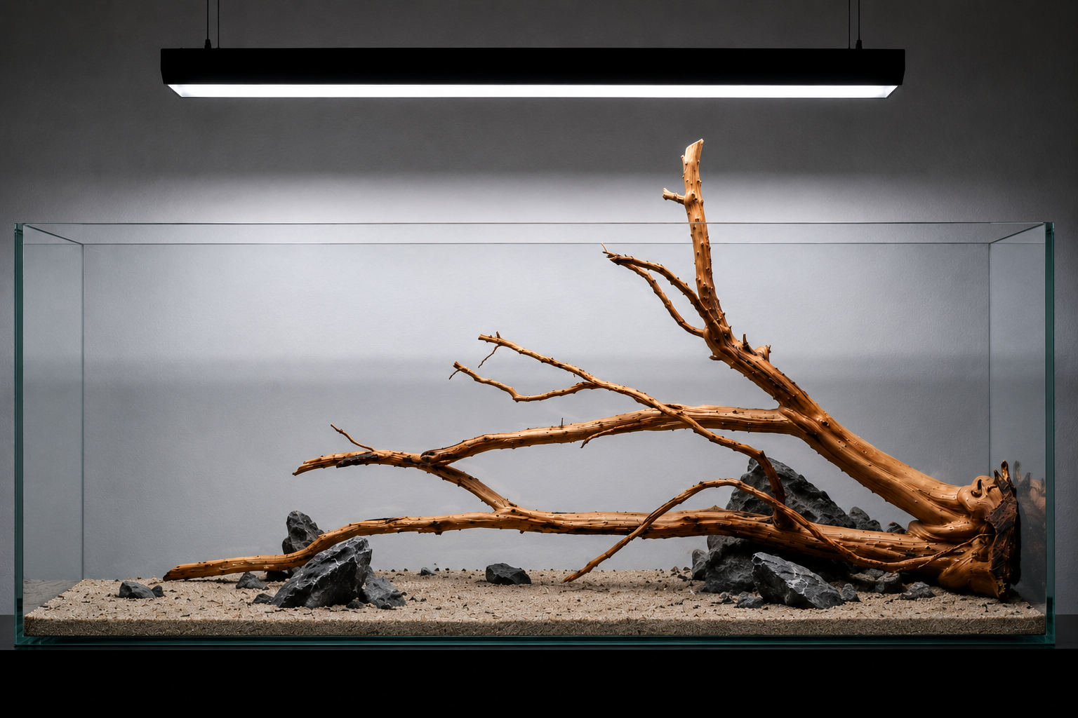 For 2.5ft & 3ft tank