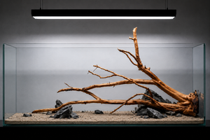 For 2.5ft & 3ft tank