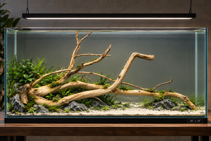 For 3ft to 5ft tanks