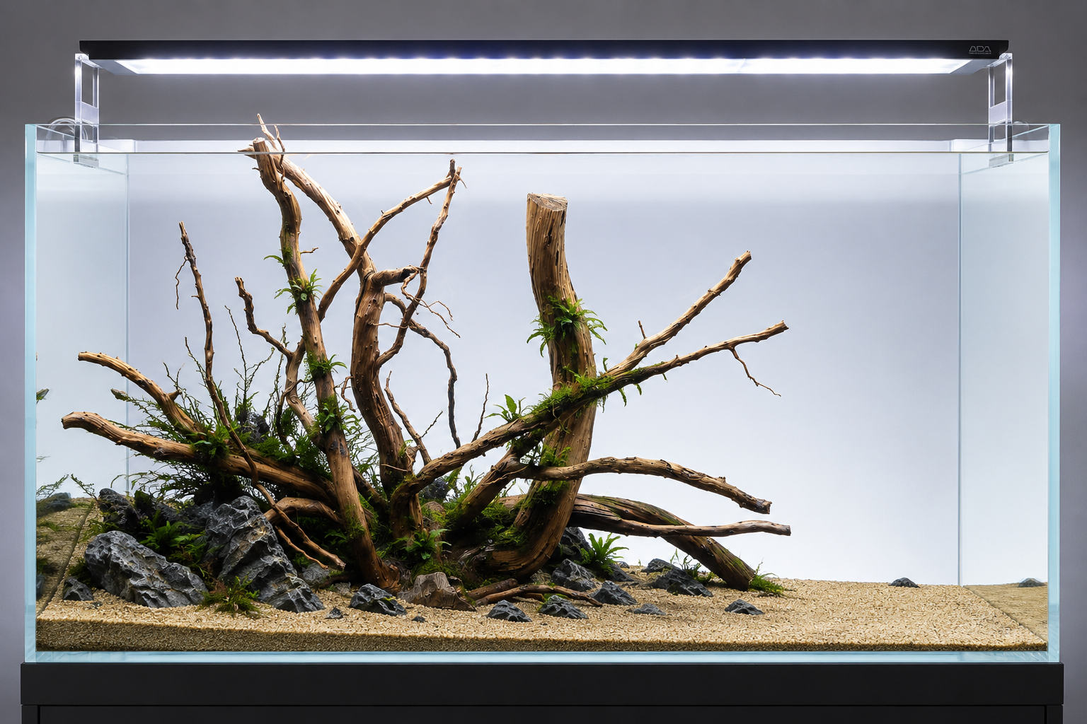 For 2ft & 3 ft tank