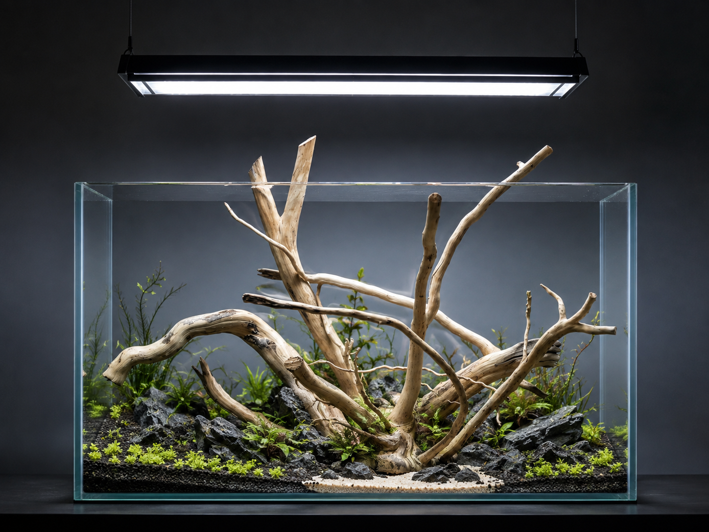 Suitable for 2 ft tank and above