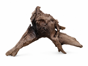 Forest Gateway. 100+ years  ironwood .  Suitable for 2 ft ,3ft and 4 ft tank thumbnail 2
