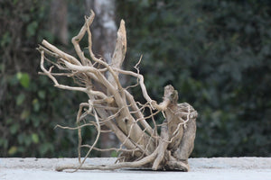 Parallel Wilderness — Dual Driftwood Layout (5 or 6 ft Aquascape Set)( 2 pieces ) thumbnail 3