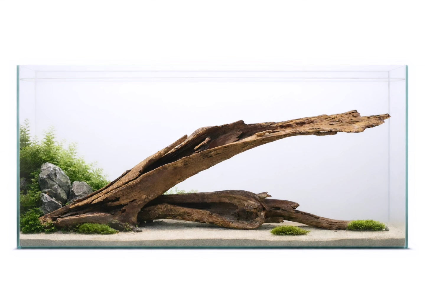 Longreach — Dual Hollow Driftwood (4 ft Composition)