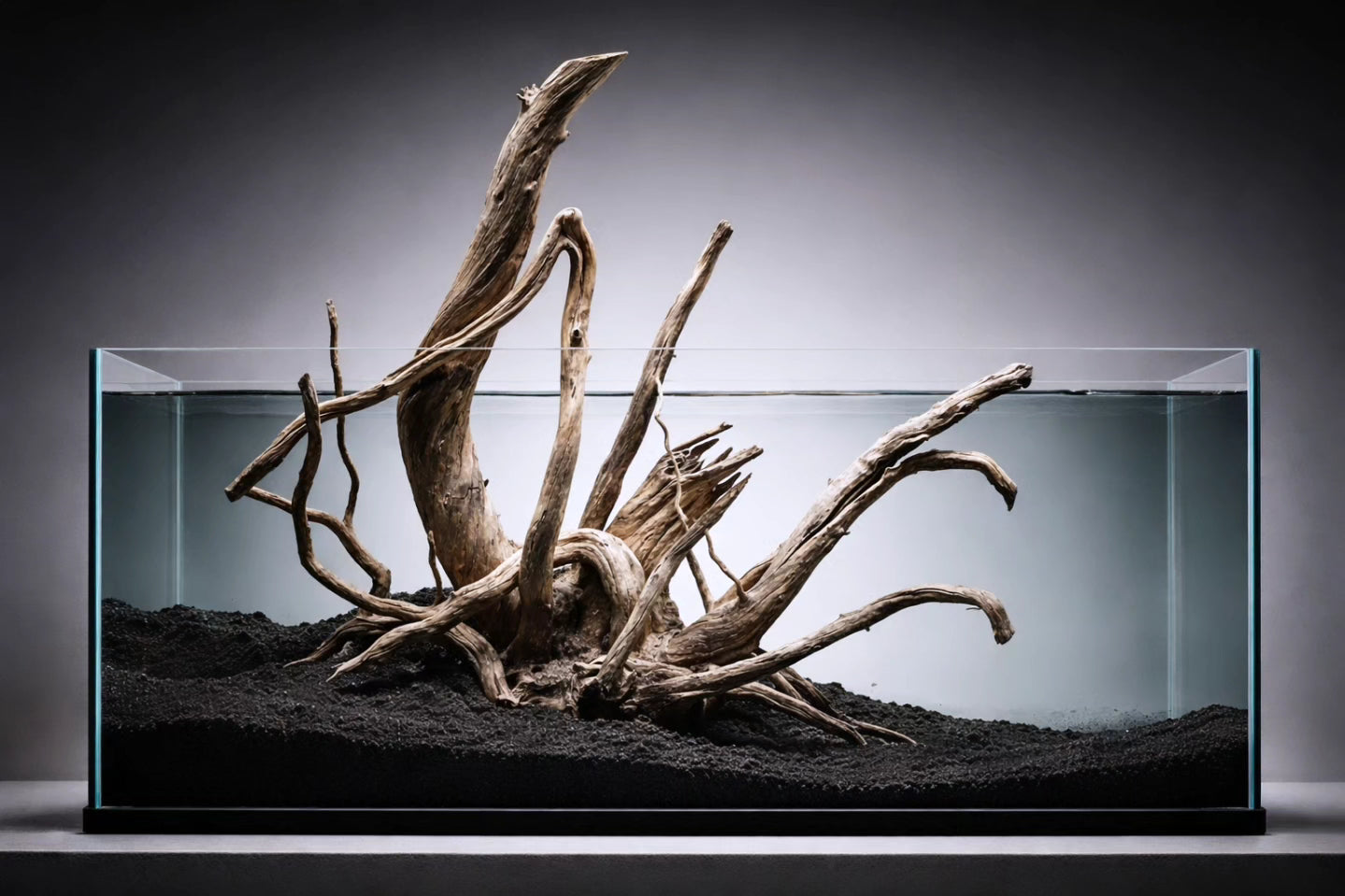 36 × 36 Inch Natural Driftwood Statement Piece