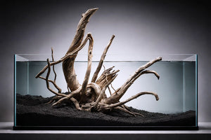 36 × 36 Inch Natural Driftwood Statement Piece thumbnail 1