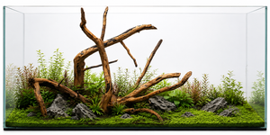 Suitable for 2 ft & 3 ft tank thumbnail 2