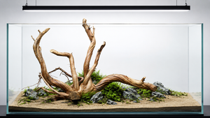 For 2.5ft to 4ft tank