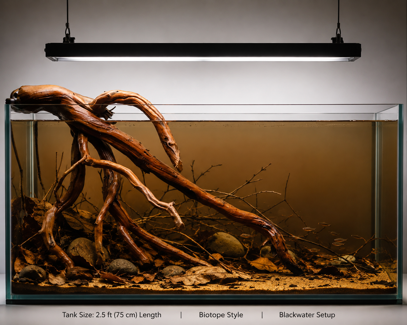 Suitable for 2.5 ft, 3 ft and 4 ft tank