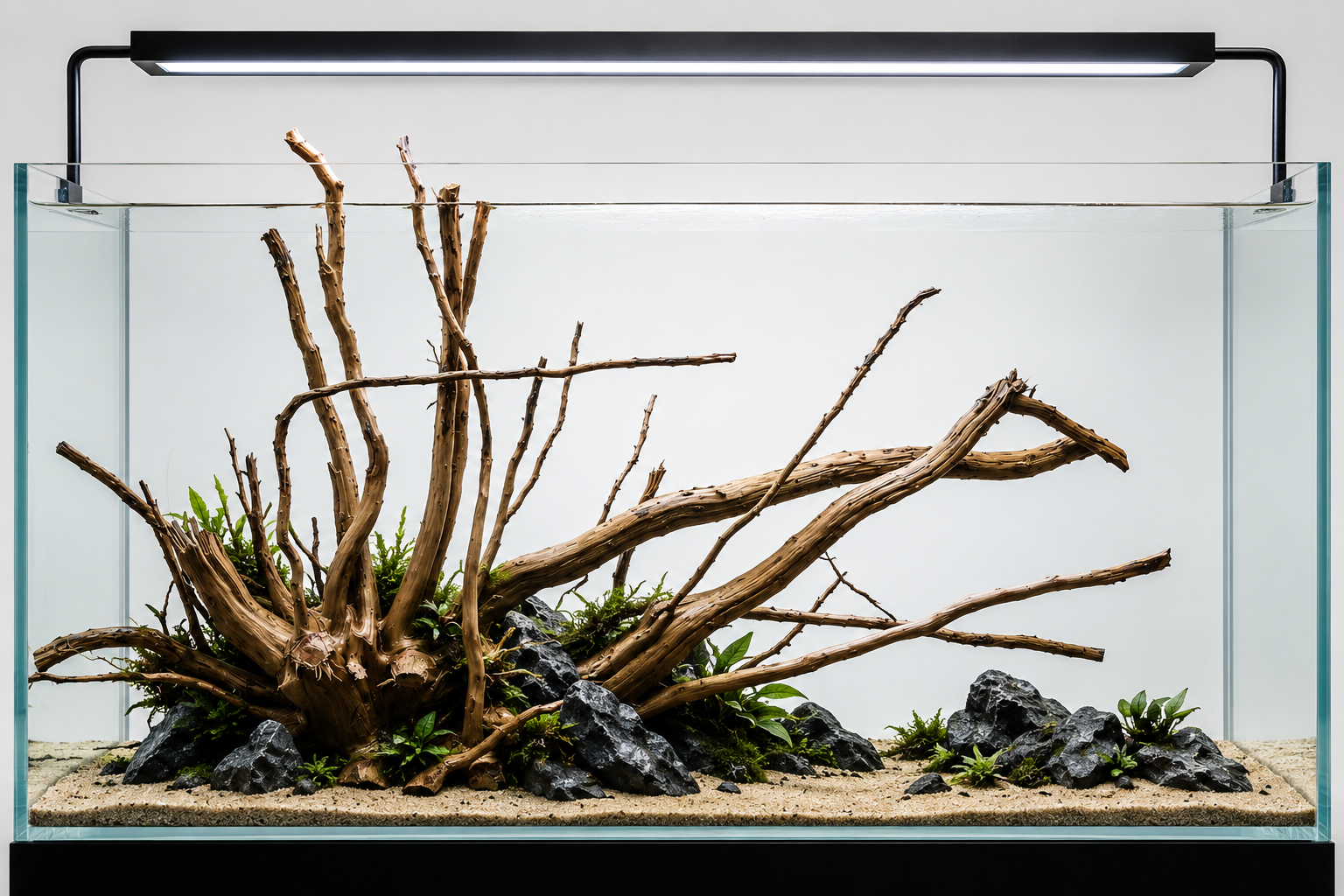 Suitable for 3 ft tank