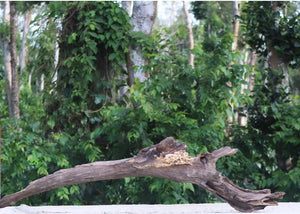 Riverborne XL – Natural Driftwood Log thumbnail 2