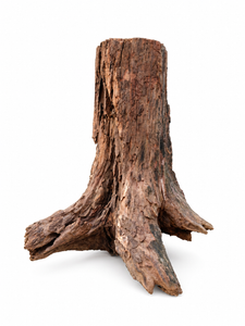 Stump piece for  flooded river Biotope theme thumbnail 2