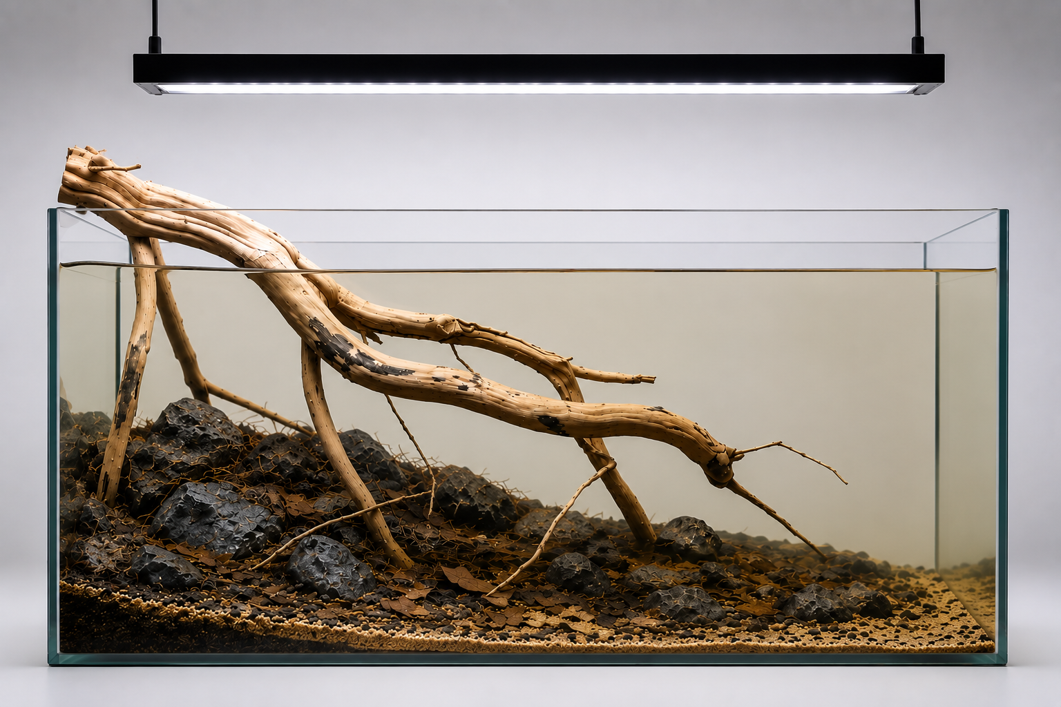 Fallen branch for 2 ft tanks
