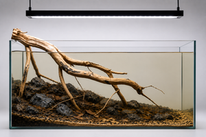 Fallen branch for 2 ft tanks