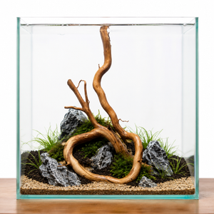 Nano Driftwood thumbnail 2