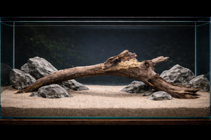 Riverborne XL – Natural Driftwood Log thumbnail 1