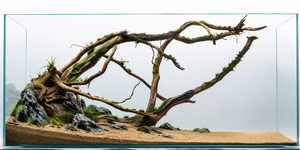 Suitable for 3 ft and 4 ft tank