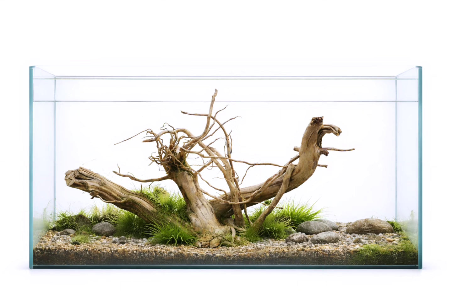 Ancient Root Driftwood – Natural Centerpiece for Aquariums (36*18 inch)