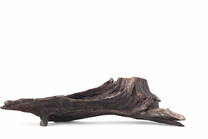 Elderfall Relic – Natural Statement Piece ( suitable for 4 feet and above tanks) thumbnail 3