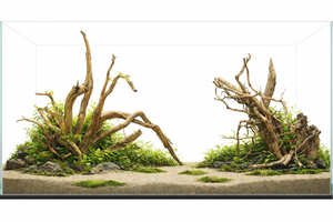 Parallel Wilderness — Dual Driftwood Layout (5 or 6 ft Aquascape Set)( 2 pieces ) thumbnail 2
