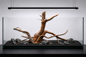 For 2.5 ft to 4 ft tank thumbnail 2