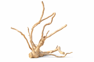 15*18  inch LXH thumbnail 2