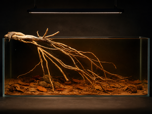 For 2.5 ft & 3 ft tank