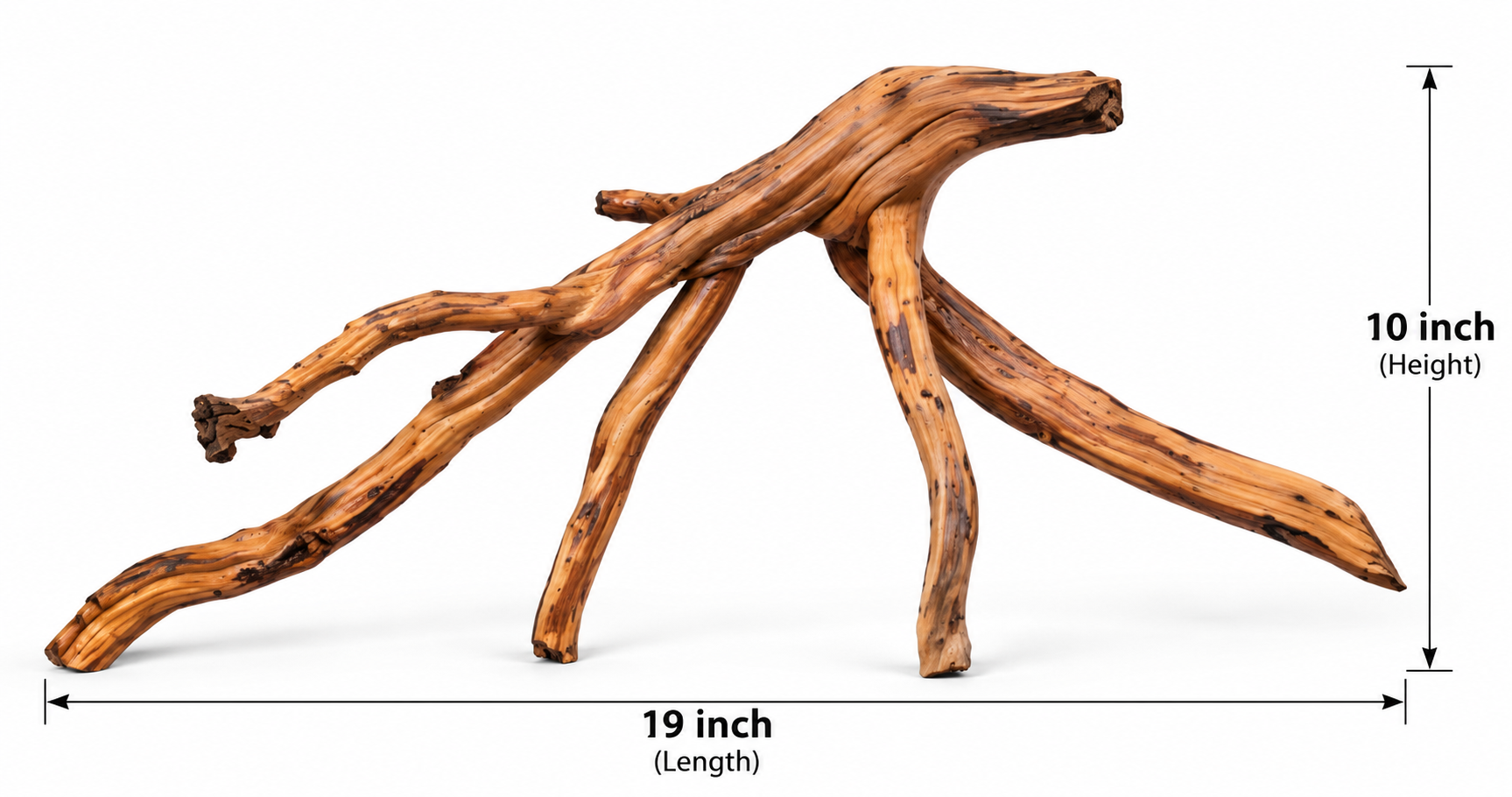 For 2ft
