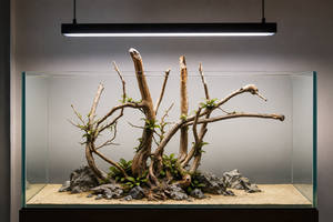 For 3ft & Above tanks