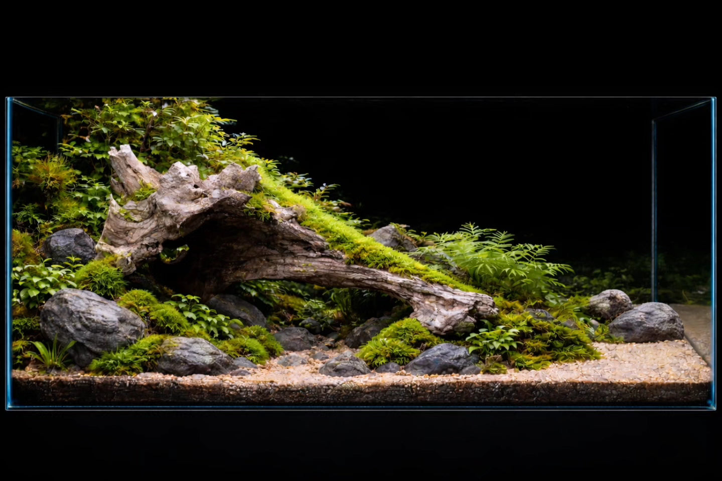 Forestbank Driftwood — 36 Inch Natural Composition