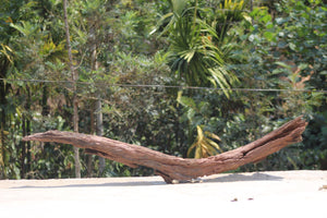 Kanso Drift — Driftwood Layout Concept thumbnail 2