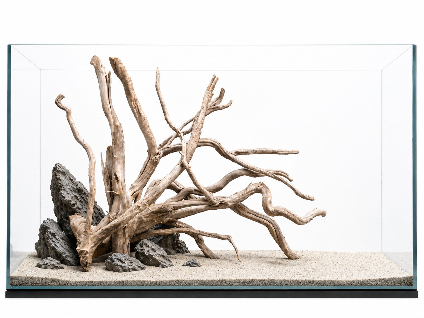 Suitable for 3 ft tanks