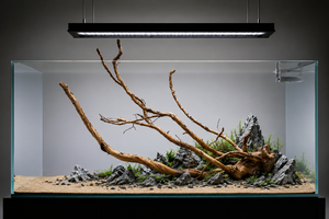 Suitable for 3 ft & 4 ft tank