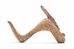 Arching Canyon Driftwood – Natural Aquarium Hardscape (36 inches/3 feet) thumbnail 2