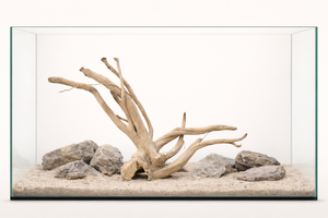 36×20 Inch Spiderwood — Natural Tunnel Base with Rising Branch Flow thumbnail 1