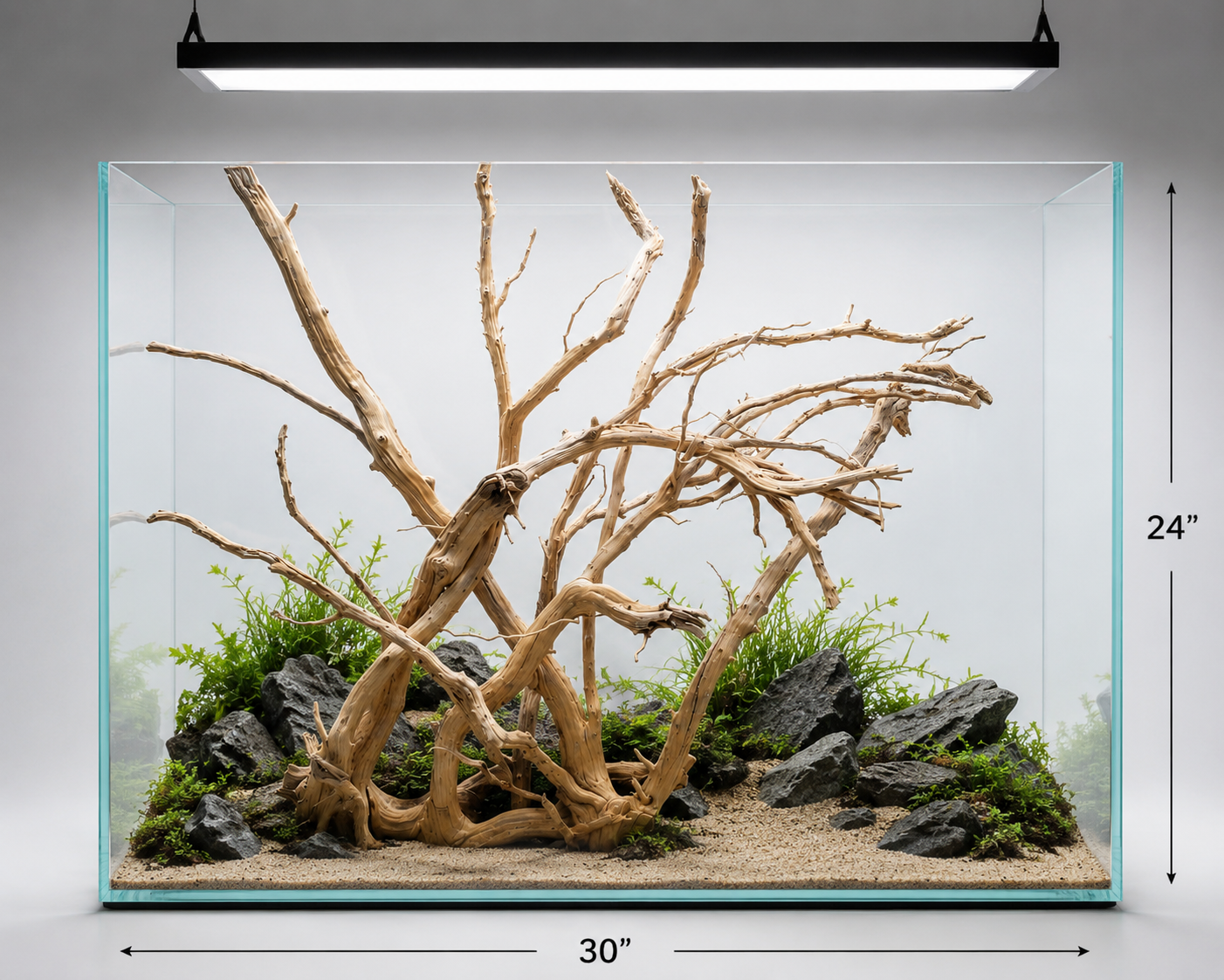 For 3ft tank